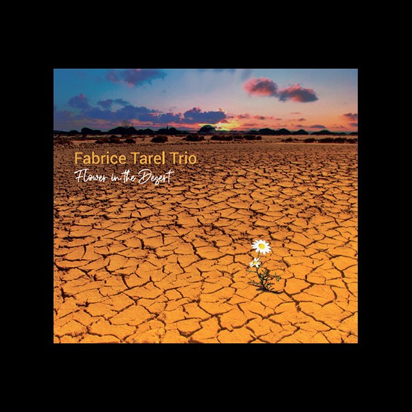 Fabrice Tarel Trio : « Flower in the desert »