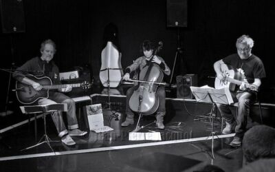 23/11/2018 – Bois Guitare à la Médiathèque du Tonkin pour le festival Les Guitares