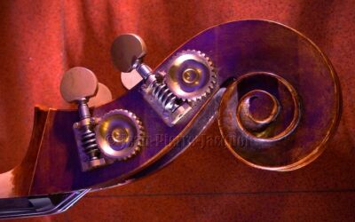 07/04/2024 – Seconde édition du Prix David Ostromooukhov – Les nouveaux fabulistes au Hot Club de Lyon