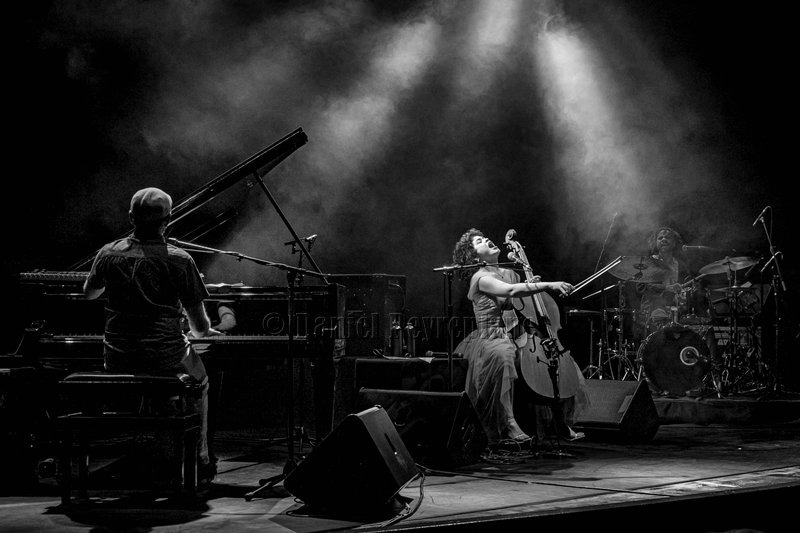 30/04/2024 – Ana Carla Maza en trio à La Mouche pour le International Jazz Day