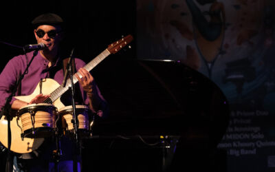 22/11/2024 – Raul Midón à Jazz à Fareins