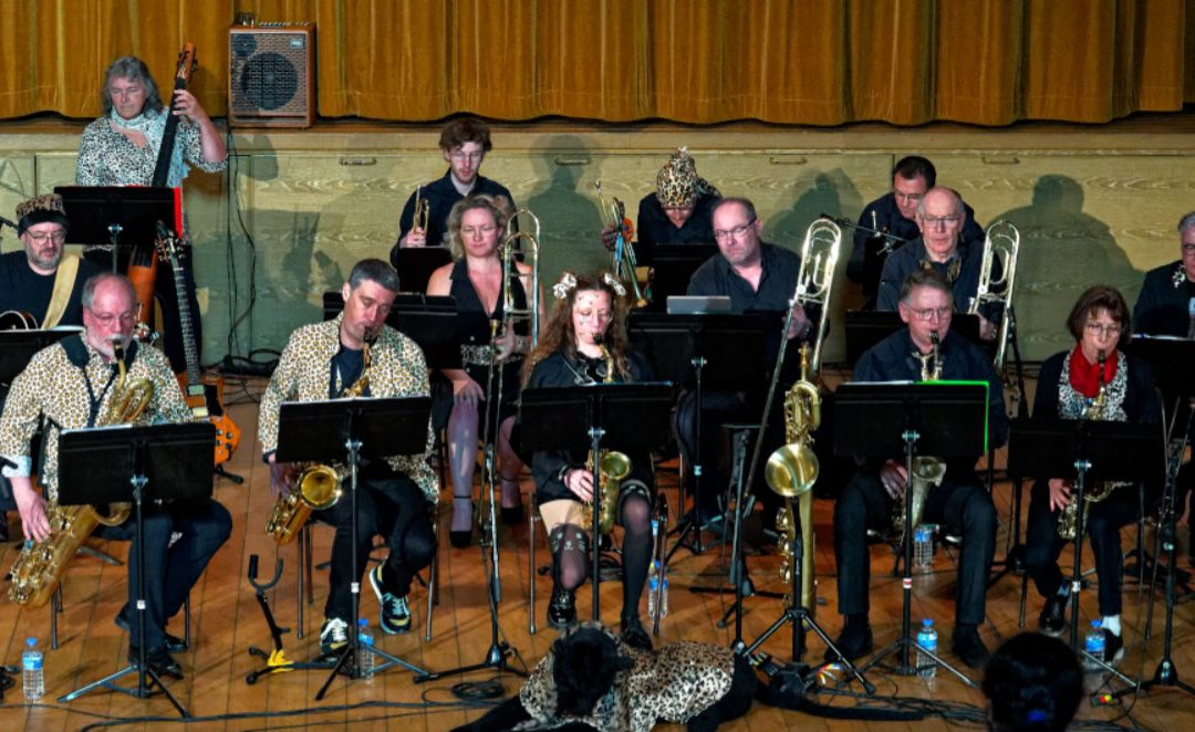 23/03/2025 – Dim Dam Domb à L’Espace Culturel de Jujurieux