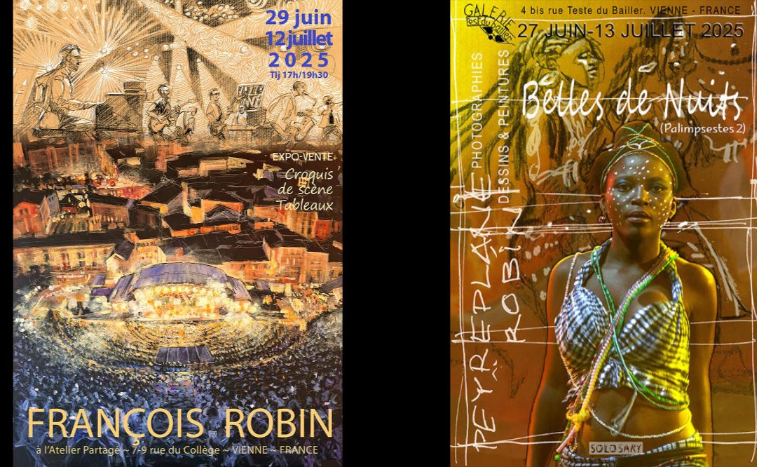 Expositions François Robin et Palimpseste 2 à Vienne