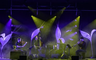 15/05/2026 – Clément Janinet « Gardens of silence » à Jazz dans le Bocage
